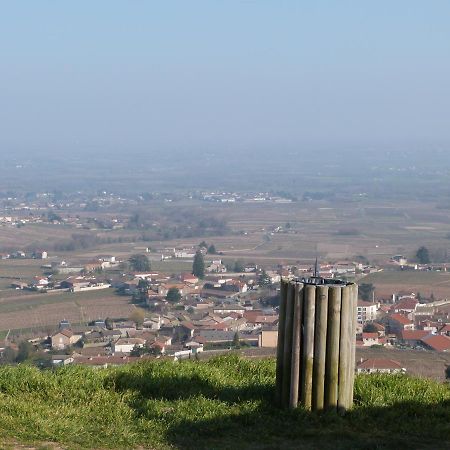 Logis Hotel Des Grands Vins Fleurie Esterno foto