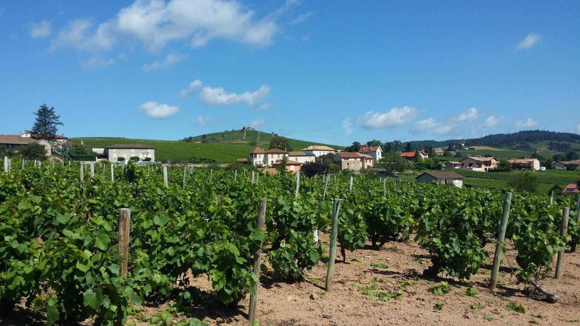 Logis Hotel Des Grands Vins Fleurie Esterno foto