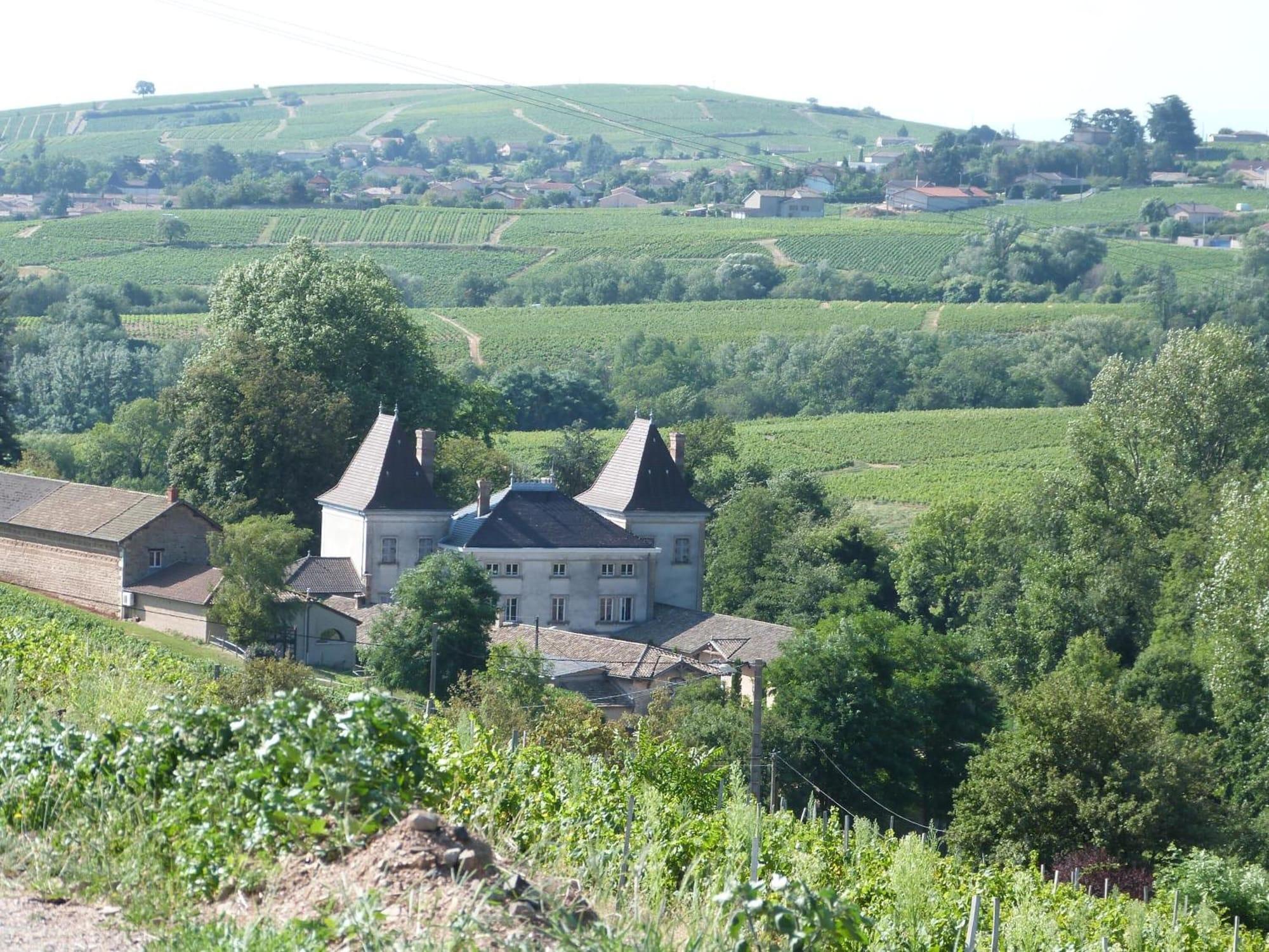 Logis Hotel Des Grands Vins Fleurie Esterno foto