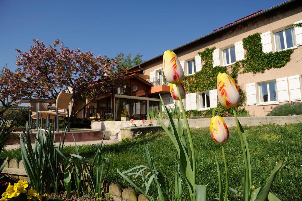 Logis Hotel Des Grands Vins Fleurie Esterno foto