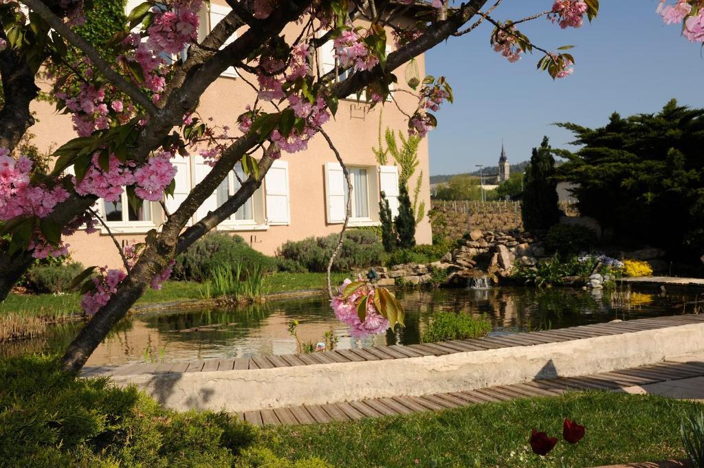 Logis Hotel Des Grands Vins Fleurie Esterno foto