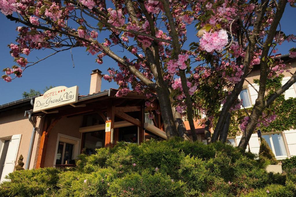 Logis Hotel Des Grands Vins Fleurie Esterno foto