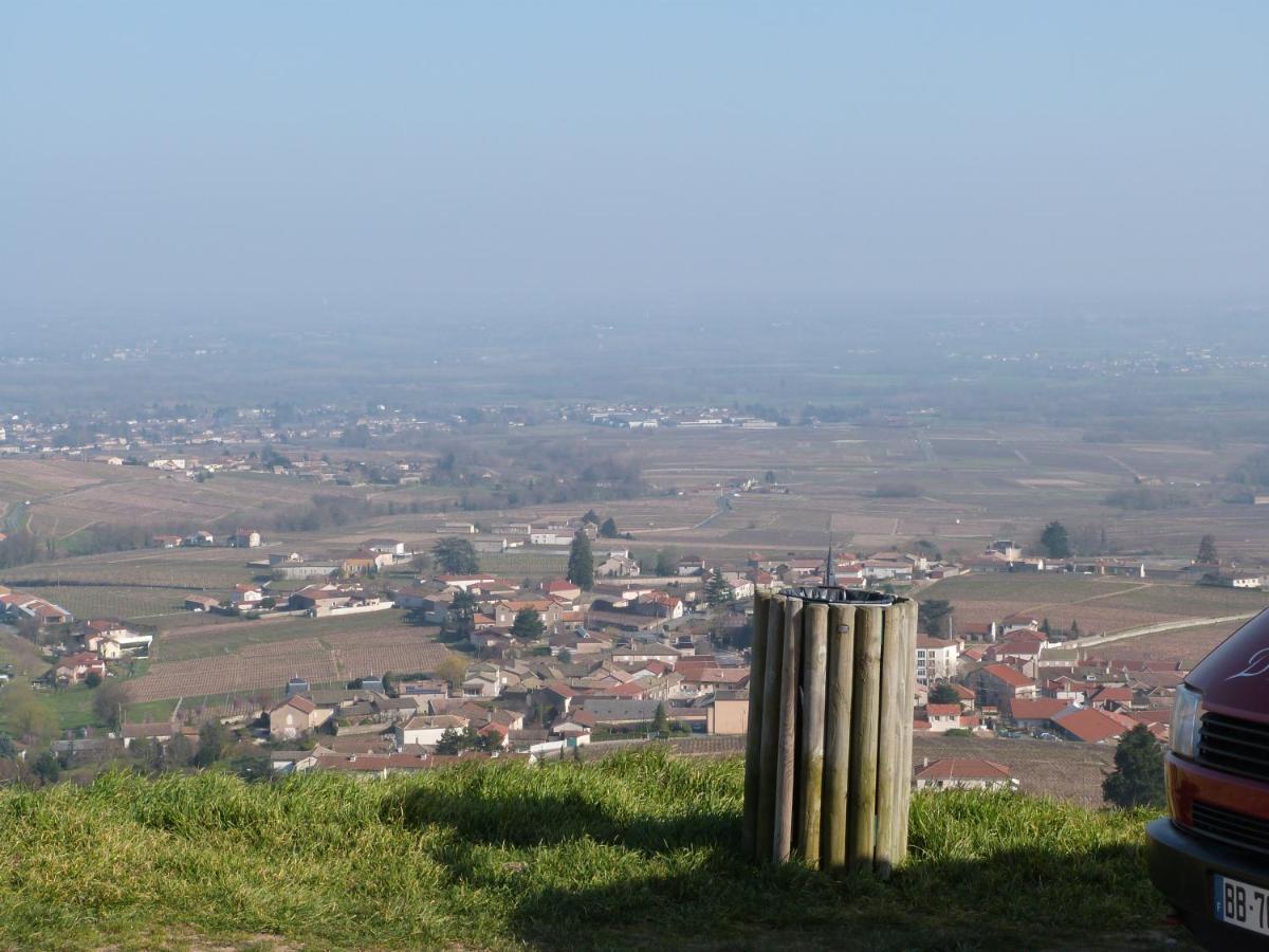 Logis Hotel Des Grands Vins Fleurie Esterno foto