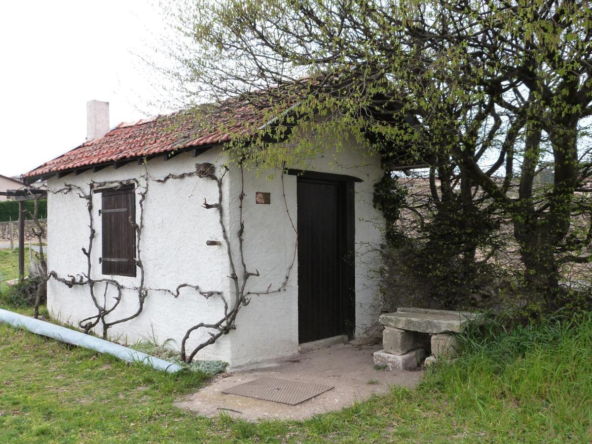 Logis Hotel Des Grands Vins Fleurie Esterno foto